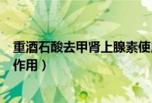 重酒石酸去甲腎上腺素使用方法（重酒石酸去甲腎上腺素的作用）