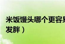 米飯饅頭哪個(gè)更容易胖（米飯饅頭哪個(gè)更容易發(fā)胖）