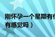 剛懷孕一個(gè)星期有什么感覺嗎（懷孕一個(gè)星期有感覺嗎）