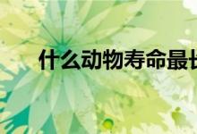 什么動(dòng)物壽命最長(zhǎng)（壽命最長(zhǎng)的動(dòng)物）