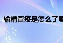 輸精管疼是怎么了呢?（輸精管疼痛怎么辦）