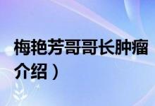 梅艷芳哥哥長(zhǎng)腫瘤（關(guān)于梅艷芳哥哥長(zhǎng)腫瘤的介紹）