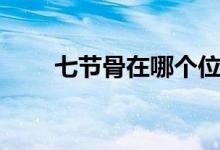 七節(jié)骨在哪個(gè)位置（七節(jié)骨是什么）