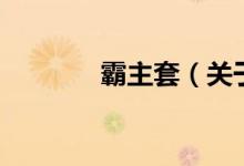 霸主套（關于霸主套的介紹）
