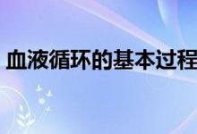 血液循環(huán)的基本過程（血液循環(huán)的基本過程）