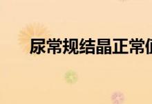 尿常規(guī)結(jié)晶正常值（尿常規(guī)的正常值）