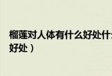 榴蓮對人體有什么好處什么壞處（榴蓮對什么人身體有什么好處）