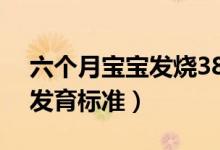 六個月寶寶發(fā)燒38.5度怎么辦（六個月寶寶發(fā)育標準）