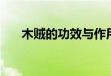 木賊的功效與作用（木賊的營養(yǎng)價值）