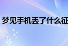 夢見手機(jī)丟了什么征兆（夢見手機(jī)丟了解釋）