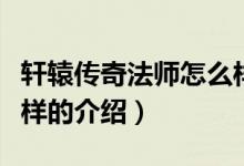 軒轅傳奇法師怎么樣（關(guān)于軒轅傳奇法師怎么樣的介紹）