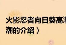 火影忍者向日葵高潮（關于火影忍者向日葵高潮的介紹）