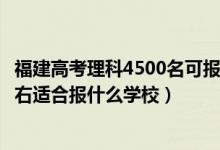 福建高考理科4500名可報(bào)什么學(xué)校（福建高考位次40000左右適合報(bào)什么學(xué)校）