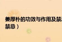 姜厚樸的功效與作用及禁忌癥有（姜厚樸的功效與作用點與禁忌）