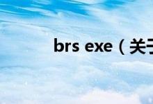 brs exe（關(guān)于brs exe的介紹）