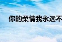 你的柔情我永遠(yuǎn)不懂歌詞（完整版歌詞）