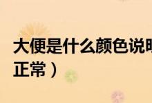 大便是什么顏色說(shuō)明在排毒（大便是什么顏色正常）