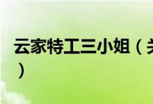 云家特工三小姐（關于云家特工三小姐的介紹）