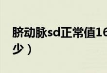 臍動(dòng)脈sd正常值16周(臍動(dòng)脈sd正常值是多少)