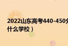 2022山東高考440-450分能報(bào)什么大學(xué)（物理歷史類(lèi)推薦什么學(xué)校）