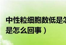 中性粒細(xì)胞數(shù)低是怎么回事（中性粒細(xì)胞數(shù)低是怎么回事）