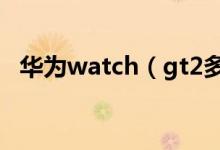 華為watch（gt2多少錢 功能強大的手表）
