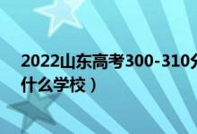 2022山東高考300-310分能報什么大學（物理歷史類推薦什么學校）