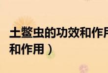 土鱉蟲的功效和作用語音回答（土鱉蟲的功效和作用）