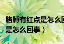胳膊有紅點是怎么回事不痛不癢（胳膊有紅點是怎么回事）