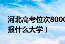 河北高考位次8000左右推薦什么學(xué)校（適合報(bào)什么大學(xué)）