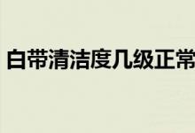 白帶清潔度幾級正常（白帶清潔度幾度最好）