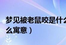 夢見被老鼠咬是什么意思（夢見被老鼠咬是什么寓意）