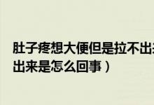 肚子疼想大便但是拉不出來(lái)怎么辦（肚子疼想大便但是拉不出來(lái)是怎么回事）