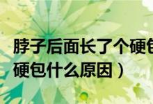 脖子后面長(zhǎng)了個(gè)硬包什么科（脖子后面長(zhǎng)了個(gè)硬包什么原因）