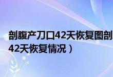 剖腹產(chǎn)刀口42天恢復(fù)圖剖腹產(chǎn)刀口沒(méi)長(zhǎng)好圖片（剖腹產(chǎn)刀口42天恢復(fù)情況）