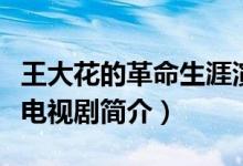 王大花的革命生涯演員表（王大花的革命生涯電視劇簡(jiǎn)介）