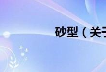 砂型（關(guān)于砂型的介紹）