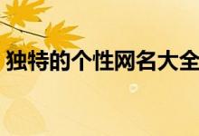 獨特的個性網(wǎng)名大全（獨特的個性網(wǎng)名精選）