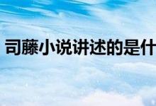 司藤小說(shuō)講述的是什么故事（司藤小說(shuō)介紹）