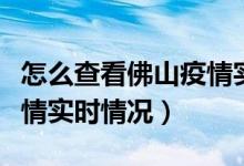 怎么查看佛山疫情實(shí)時(shí)情況（如何查看佛山疫情實(shí)時(shí)情況）