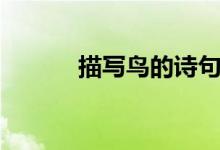 描寫鳥的詩(shī)句（描寫鳥的詩(shī)詞）