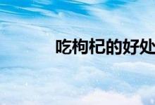 吃枸杞的好處（吃枸杞補腎嗎）