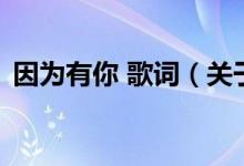 因?yàn)橛心?歌詞（關(guān)于因?yàn)橛心?歌詞的介紹）