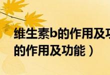 維生素b的作用及功能什么時(shí)候吃（維生素b的作用及功能）
