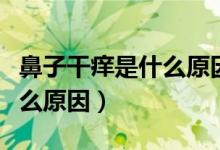 鼻子干癢是什么原因吃什么藥（鼻子干癢是什么原因）