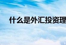 什么是外匯投資理財(什么是外陰瘙癢)