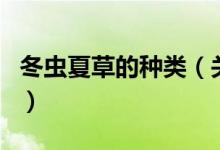 冬蟲夏草的種類（關(guān)于冬蟲夏草的種類的介紹）