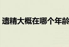 遺精大概在哪個(gè)年齡段（遺精是什么年齡段）