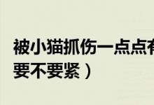 被小貓抓傷一點點有事嗎（被小貓抓傷一點點要不要緊）
