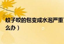 蚊子咬的包變成水泡嚴(yán)重了會(huì)怎樣（蚊子咬的包變成水泡怎么辦）